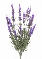 Lavendel Bush uv bestendig 45cm